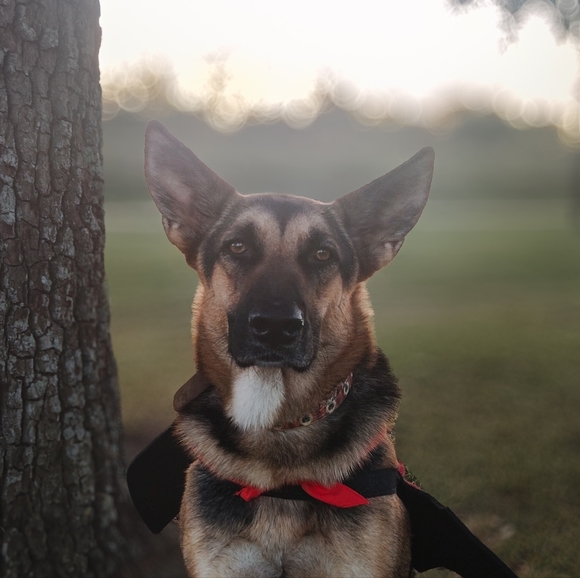 Meet your Posher, Eclipse - Picture 1 of 1